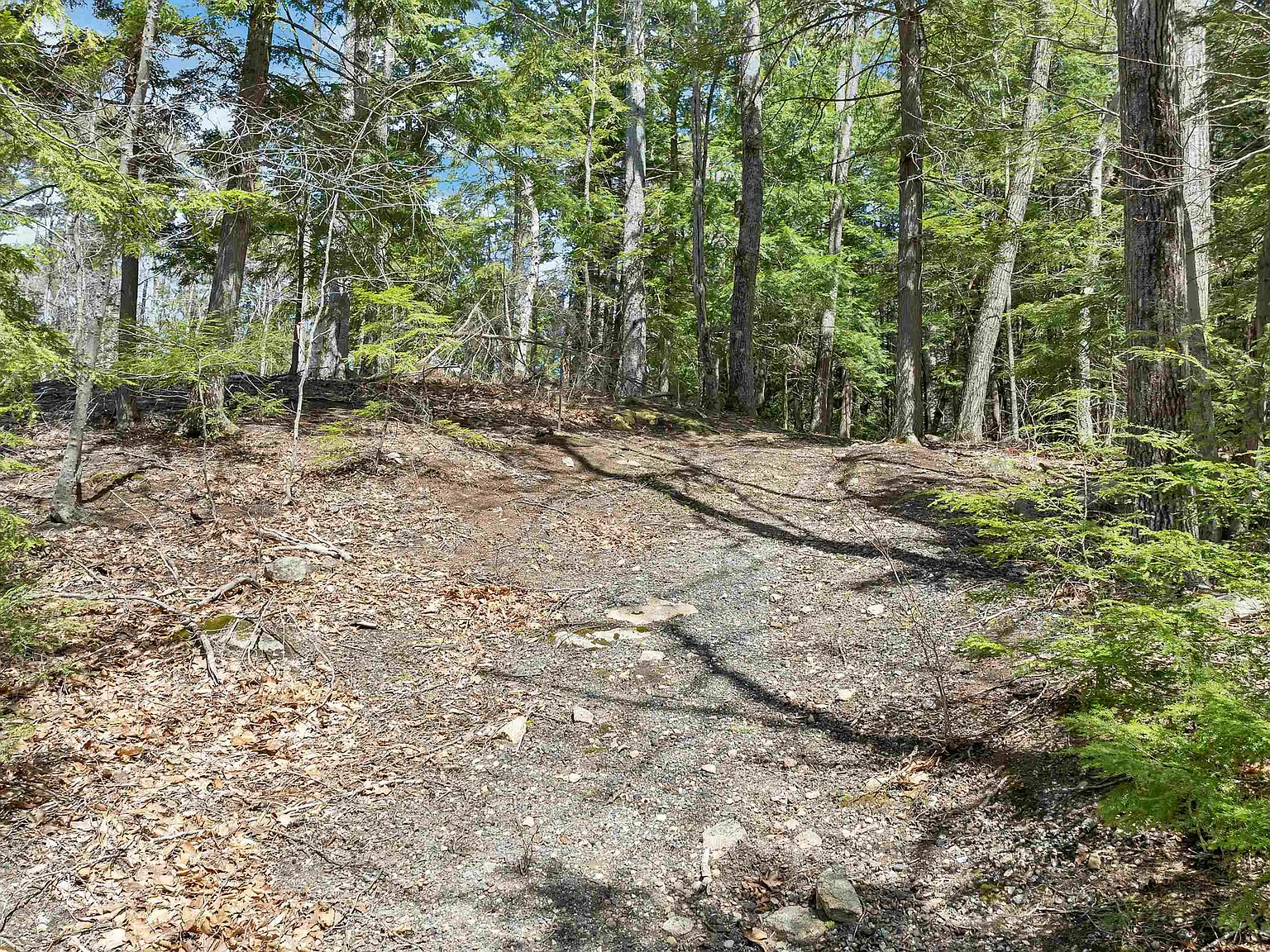 A Head Start on Shaws Pond in New Durham